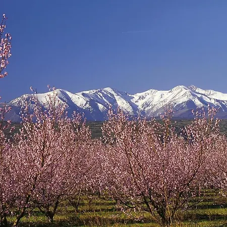 Otel Campanile Sud 3*