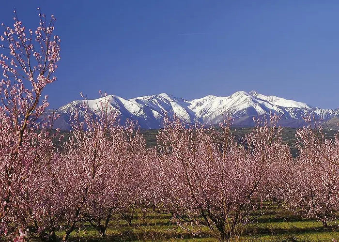 Ξενοδοχείο Campanile Sud 3*